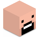 Notch